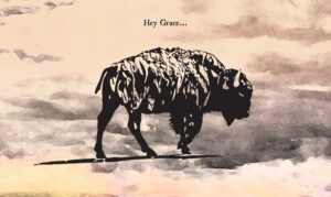Saving Grace bison logo