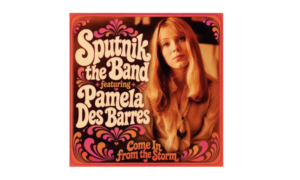 Come In From The Storm Pamela Des Barres