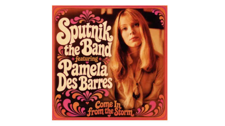 Come In From The Storm Pamela Des Barres